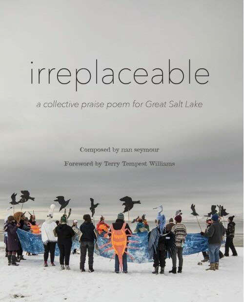 "irreplaceable" is a new collections of poems and stories from a multitude of voices seeking to save Great Salt Lake and preserve its beauty. 