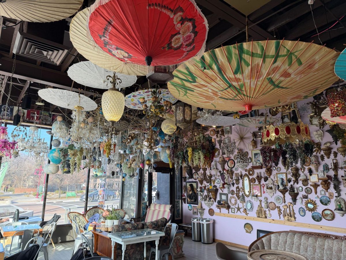 Interior of Dolcetti Gelato in the 9th and 9th district. (Photo by Lily Hersch | The Daily Utah Chronicle)