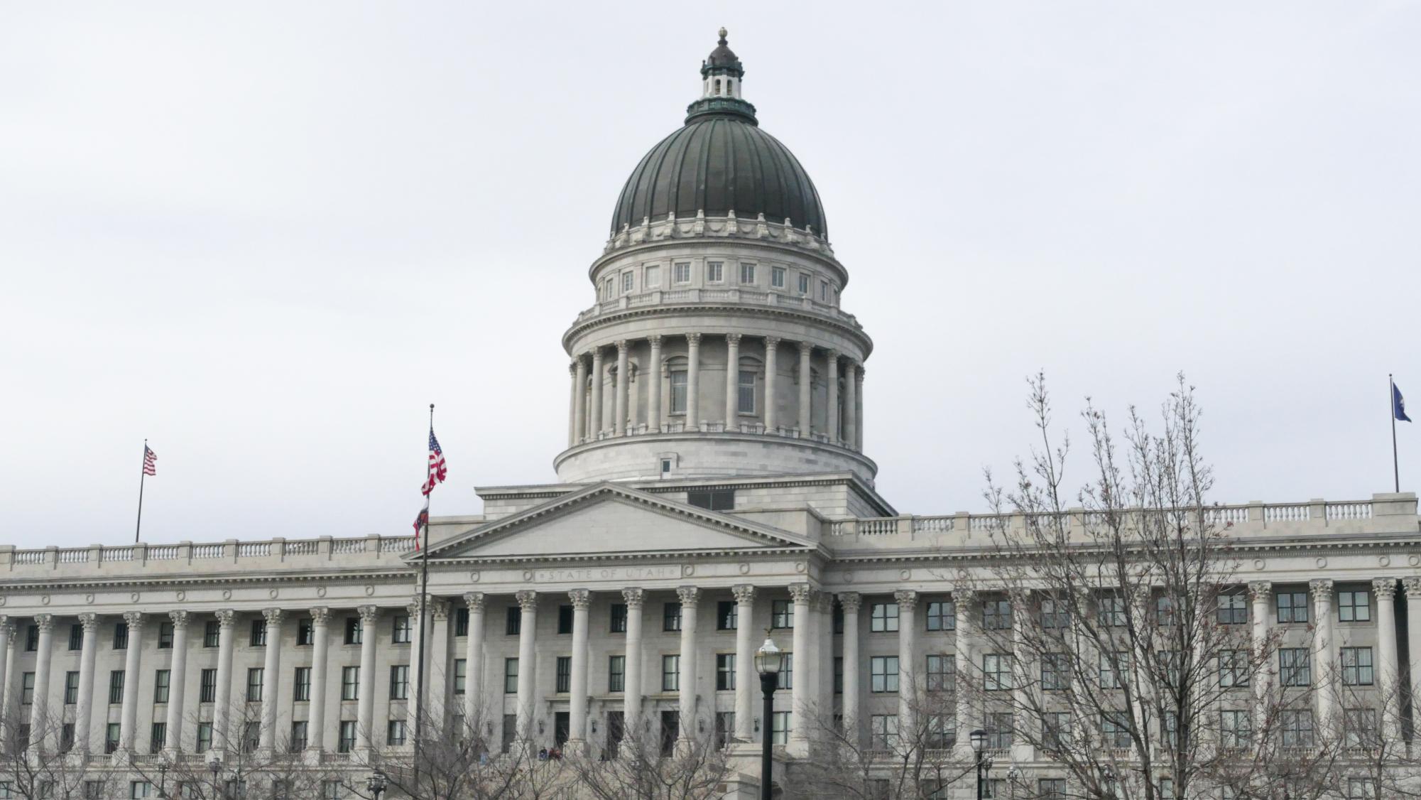 Upcoming Democratic primary could decide who represents U students – The Daily Utah Chronicle