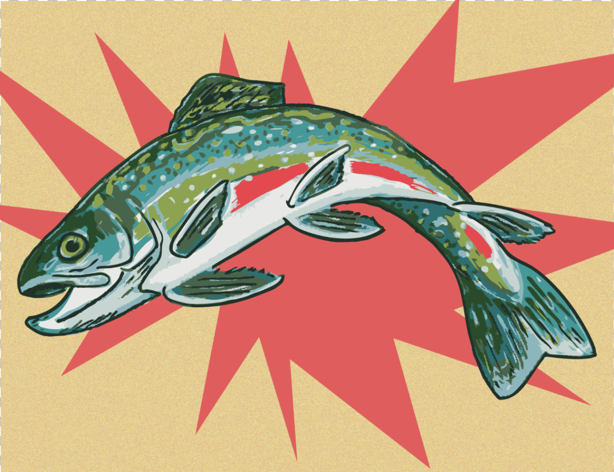 Trout