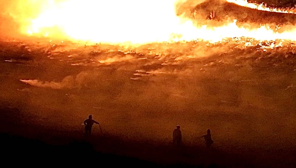 Firefighters control the bushfire near Red Butte Garden on June 20, 2026. (Photo by Jonathon Downward | The Daily Utah Chronicle)