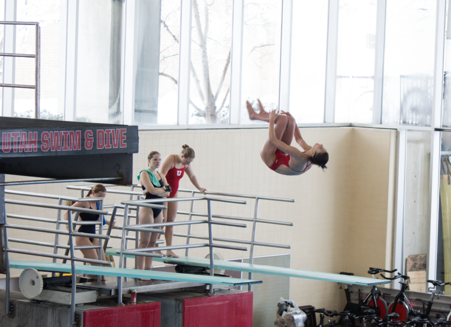 Swim and Dive: Utes Finish Strong at Air Force Diving Invitational