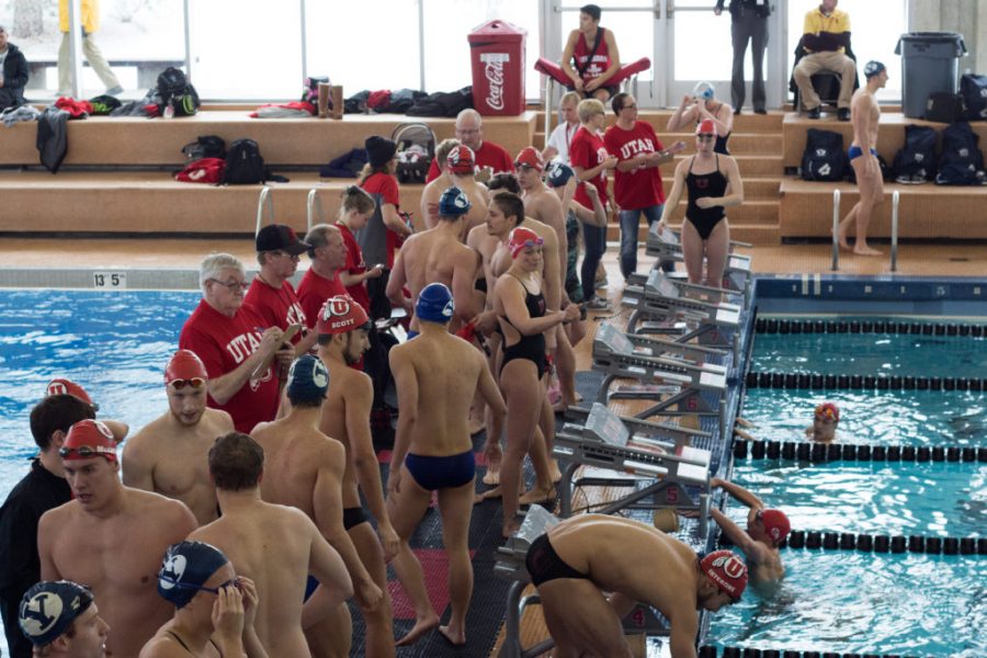 Swim and Dive: Utes Defeat BYU on Senior Day
